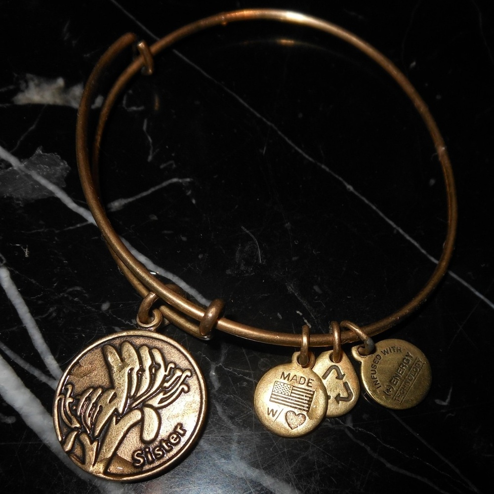 Alex And Ani Sister Family Charm Russian Gold Bang